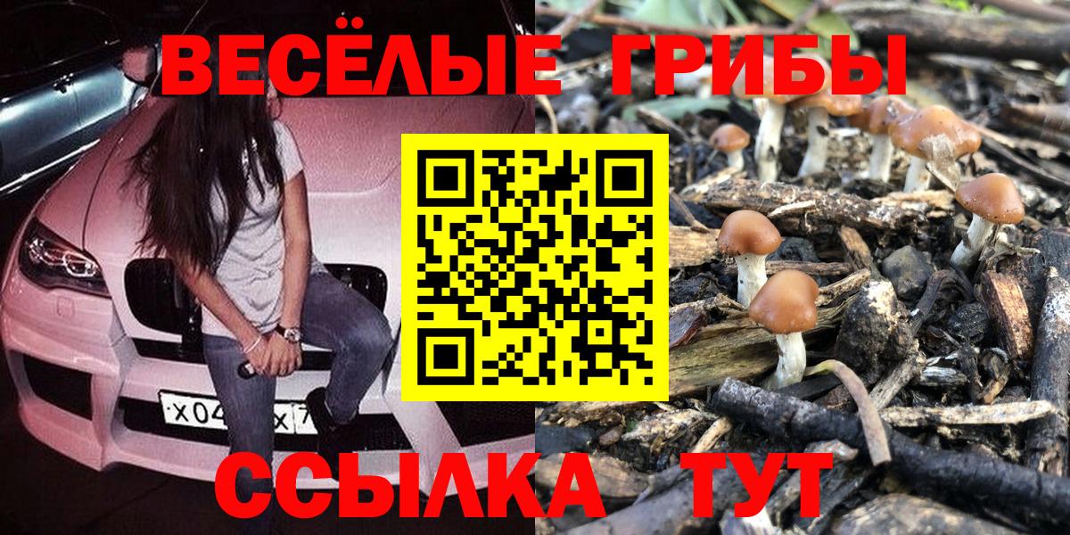 Галлюциногенные грибы Psilocybe Лыткарино